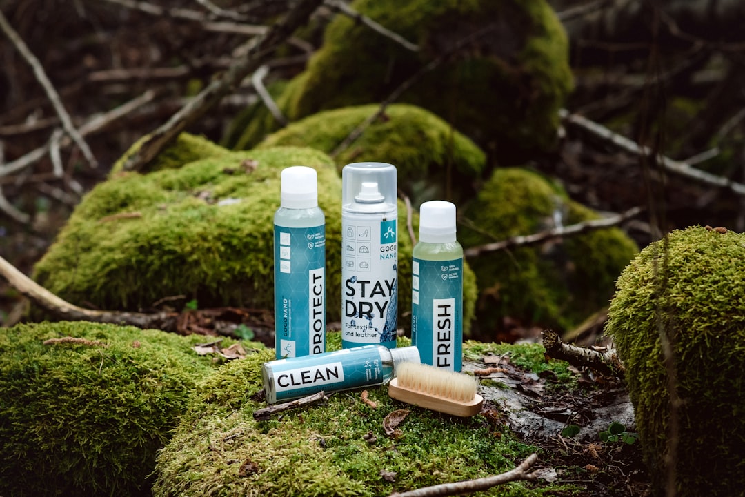 The Best Eco-Friendly Products for Sustainable Travelers The Best Eco-Friendly Products for Sustainable Travelers